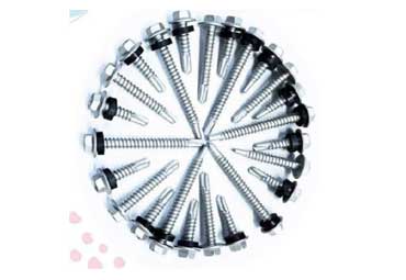 Screw /Fastener